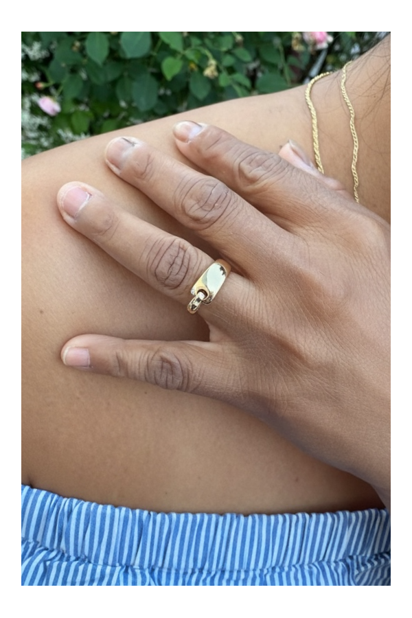 BAGUE GUY LAROCHE CEINTURE